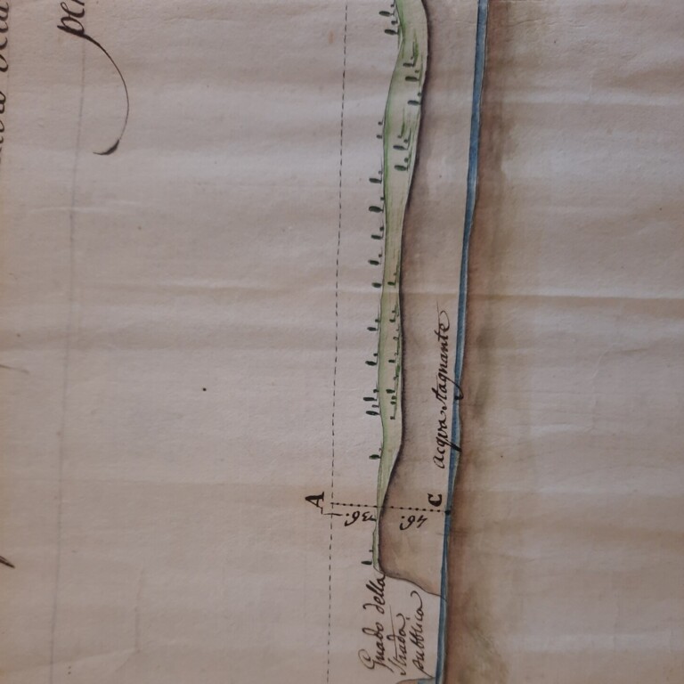 Benedetto riso. Dalle giornate dei canonici alla tavola